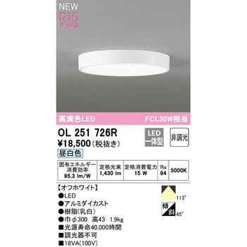 オーデリック フレキシブルライン FG2584RG オーデリック 照明 LED