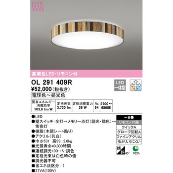 OL291409R LEDシーリングライト 1台 ODELIC(オーデリック) 【通販