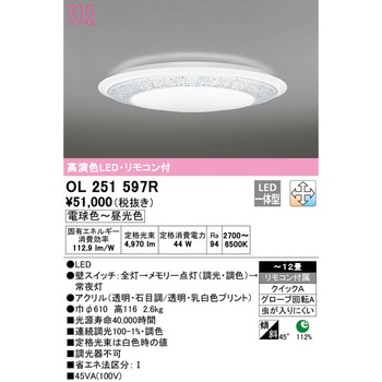 LEDシーリングライト ODELIC(オーデリック)