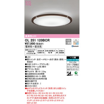 LEDシーリングライト ODELIC(オーデリック)
