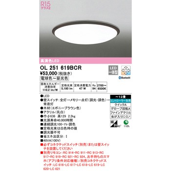 LEDシーリングライト ODELIC(オーデリック)