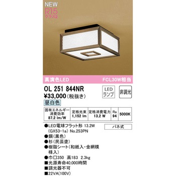 ODELIC オーデリック シーリング ライト 天井 照明 OC006828 ODELIC オーデリック 小型シーリングライト OL251844BR | 商品