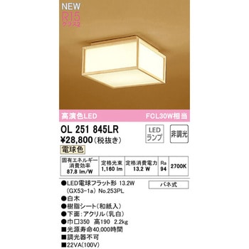 小型LEDシーリングライト ODELIC(オーデリック)