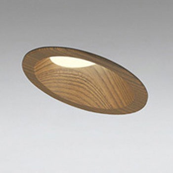 OD261516R �X�ΓV��pLED�_�E�����C�g��100 LC���� ODELIC(�I�[�f���b�N) Ra94 �g�U ���C��SB 70485048