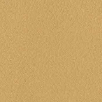 CK-M620E2VR13 cpCX TeBI w^Cv(zEgT[rXt) RN 70494217