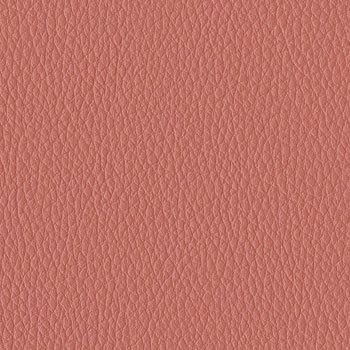 CN-M152BVXA4 ���r�[�`�F�A 150�V���[�Y �ۃp�C�v ���b�L�r �w�I���� 3�l�|���^�C�v(�z�����g���T�[�r�X�t��) �R�N�� 70495206