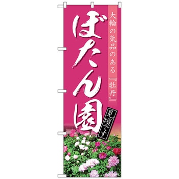 のぼり旗 ぼたん園 見頃 NAD No．82712 W600×H1800 トレード