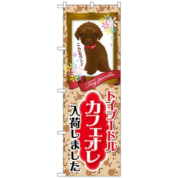 のぼり旗 トイプードル カフェオレ 入荷 No．GNB-2456 W600×H1800 - トレード