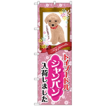 のぼり旗 トイプードル シャンパン 入荷 No．GNB-2458 W600×H1800 トレード