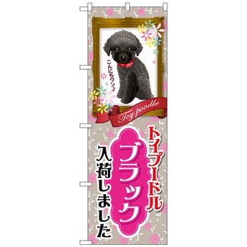 のぼり旗 トイプードル ブラック 入荷 No．GNB-2462 W600×H1800 - トレード