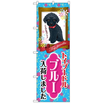 のぼり旗 トイプードル ブルー 入荷 No.GNB-2463 W600×H1800 トレード