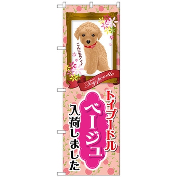 のぼり旗 トイプードル ベージュ 入荷 No.GNB-2464 W600×H1800 トレード
