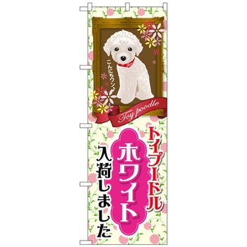 のぼり旗 トイプードル ホワイト 入荷 No.GNB-2465 W600×H1800 トレード