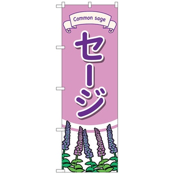 のぼり旗 セージ イラスト No．GNB-4004 W600×H1800 トレード