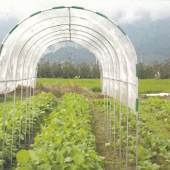 雨除け用直管SW 渡辺パイプ(SEDIA)