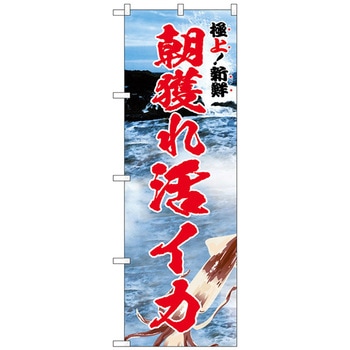 のぼり旗 朝獲れ活イカ 極上 No．SNB-5322 W600×H1800 トレード