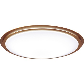 LGC41148 �V�[�����O���C�g �����E���F�^�C�v �X�^���_�[�h Panasonic(�p�i�\�j�b�N) 70584868