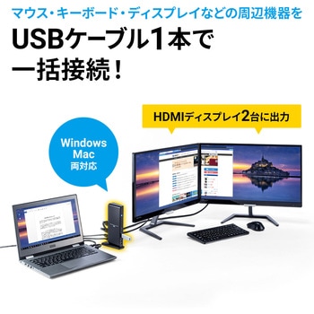 USB-CVDK7 ドッキングステーション 1個 サンワサプライ 【通販