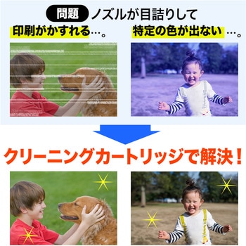 クリーニングカートリッジ サンワダイレクト