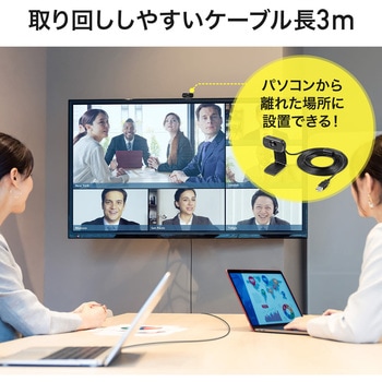 WEBカメラ サンワダイレクト