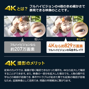 セキュリティカメラ サンワダイレクト