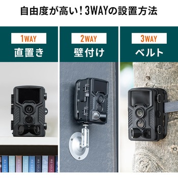 セキュリティカメラ サンワダイレクト