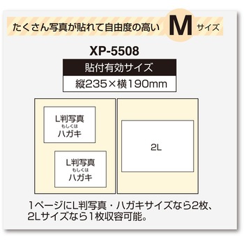 ライトフリーアルバム(フレーム) セキセイ
