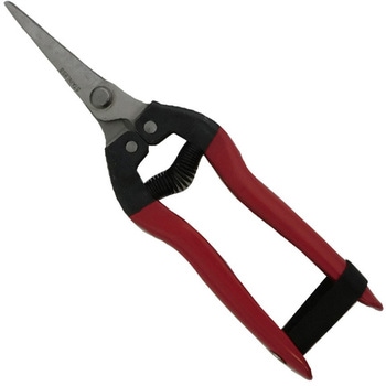 ステン芽切鋏 長刃 - EIGERTOOL(アイガーツール)
