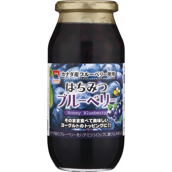 はちみつブルーベリー650g 1ケース(650g×6個) 加藤美蜂園本舗 【通販