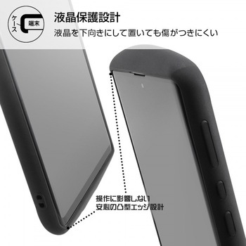 AQUOS R6 耐衝撃 ProCa/ホワイト レイ・アウト