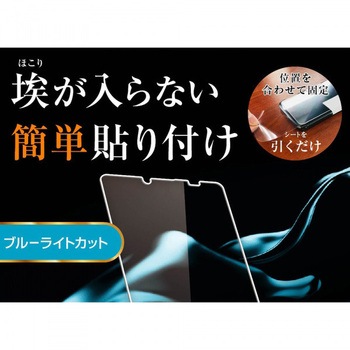 Xperia 10 III ガラス 防埃 10H BLC ソーダガラス レイ・アウト