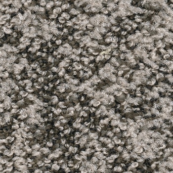 DT-77203 DT-7700/DT-7710/DT-7720 �`�F���W�I�u�V�[�� F CP�^�C�� �T���Q�c ����8mm 1�� DT-77203 70997985