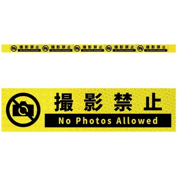 KH5R-Y19�̂Ă�� ���P�x����5�A�X�e�b�J�[�W���C�G���[W1100XH50 �O���[���N���X �u���C�G���[�F 71006455