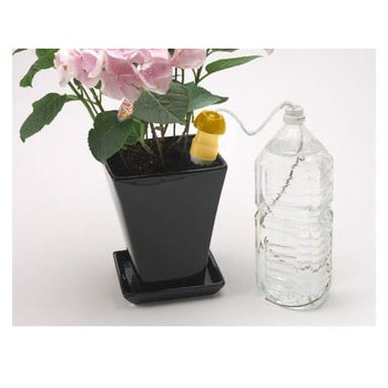 水やり当番Lサイズ ダリヤ