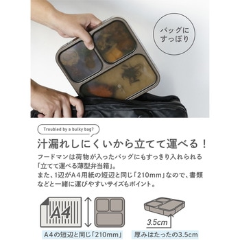 薄型弁当箱 抗菌フードマン800 シービージャパン