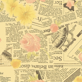 35-868 ���  ���[�� ���� �^�J��(�T�T�K��) 1��(5�{) 35-868 71955680