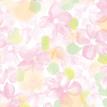 35-894 ���  ���[�� ���� �^�J��(�T�T�K��) 1��(5�{) 35-894 71955741