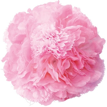 8730-5802 ���{�[��(����) �X�g�A�E�G�L�X�v���X ��T�C�Y  8730-5802 71956477