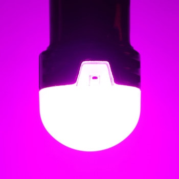 TAKE-192 ���~�i�X���[�Z���g�o���uPlus�p�}�[�J�[�p �|������ BA9s���� 12/24V 72031386