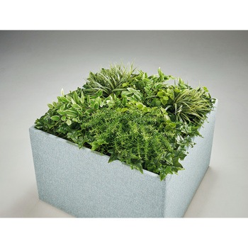 37LC-ALGM-HO 人工植物 LION (ライオン事務器) 72151890