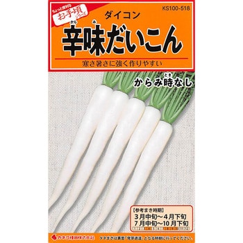 518 【タネ】辛味だいこん からみ時なし 1個(3mL) カネコ種苗 【通販