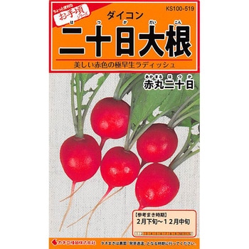 タネ 赤丸二十日大根 カネコ種苗 野菜の種 通年 通販モノタロウ 519