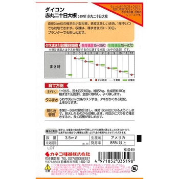 【タネ】赤丸二十日大根 カネコ種苗