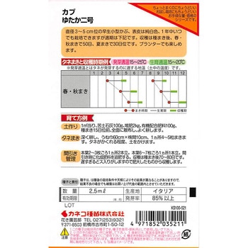 【タネ】小かぶ 時なし小かぶ ゆたか2号 カネコ種苗