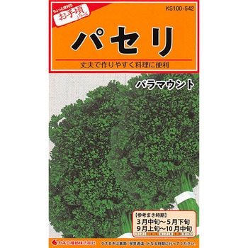 【タネ】パセリ パラマウント カネコ種苗