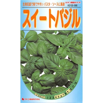 566 【タネ】スイートバジル 1個(0mL) カネコ種苗 【通販モノタロウ】