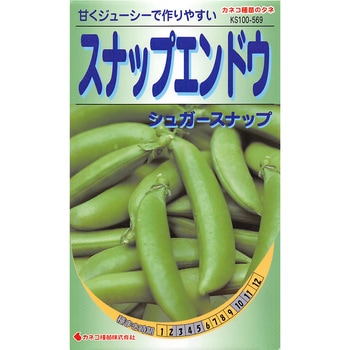 【タネ】スナップエンドウ シュガースナップ (つるなし) カネコ種苗