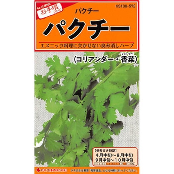長年無農薬　パクチー　コリアンダー　香菜　5苗　ネコポス パクチー苗 5本 無農薬 香草 コリアンダー 香菜 ハーブ パクチー