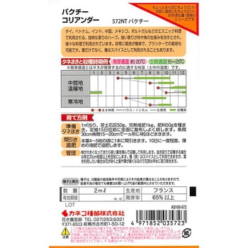 【タネ】パクチー - カネコ種苗