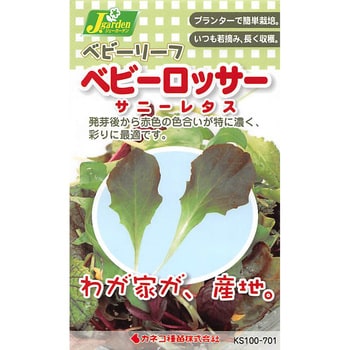 タネ ベビーリーフ ベビーロッサー サニーレタス カネコ種苗 野菜の種 通年 通販モノタロウ 701